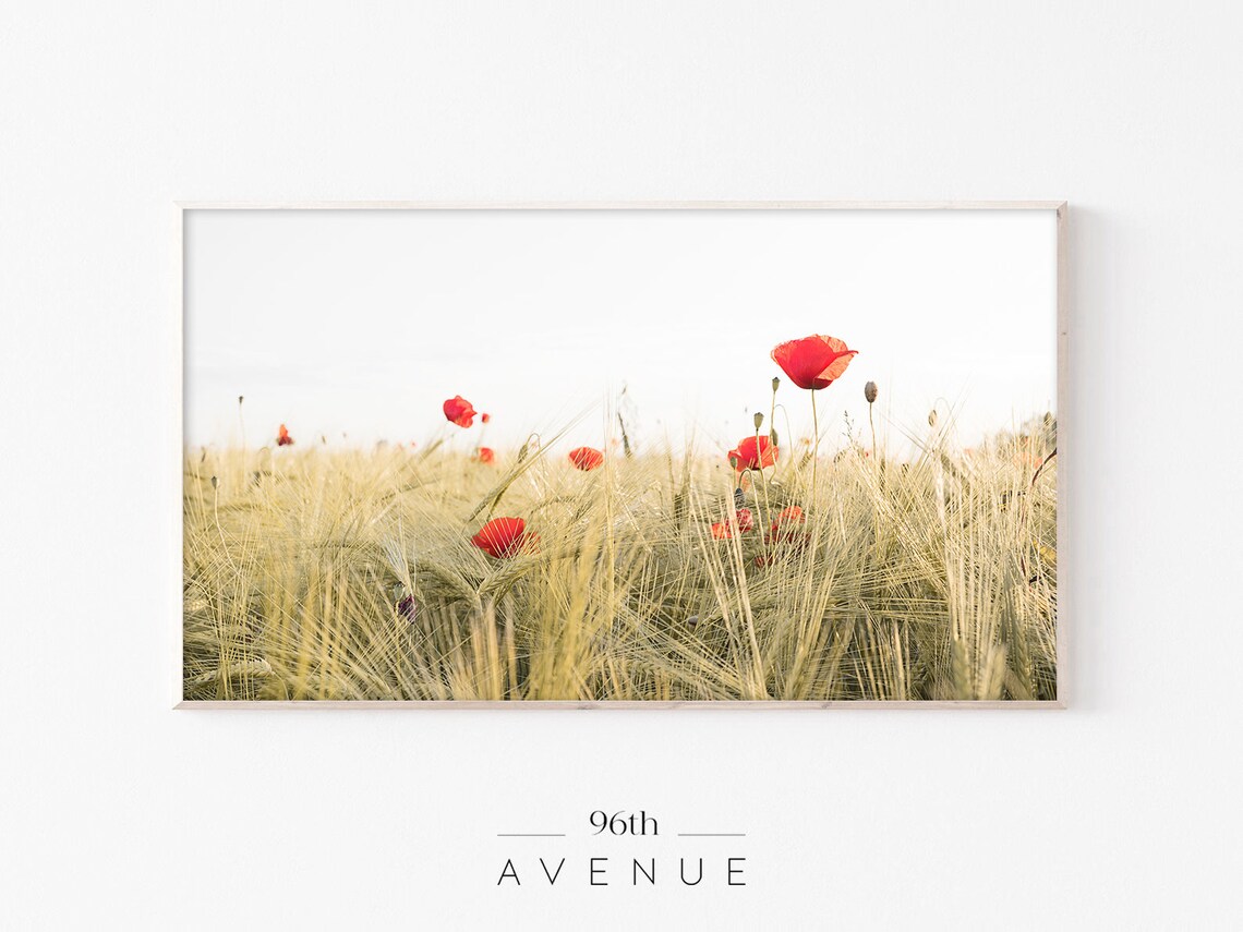 Poppy Field Smart Tv Art, Floral Landscape