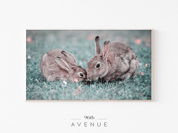 Easter Bunny, Frame TV Art