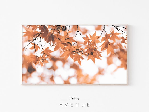 Orange Maple Leaves on Branches Autumn Bokeh Photo Art Poster