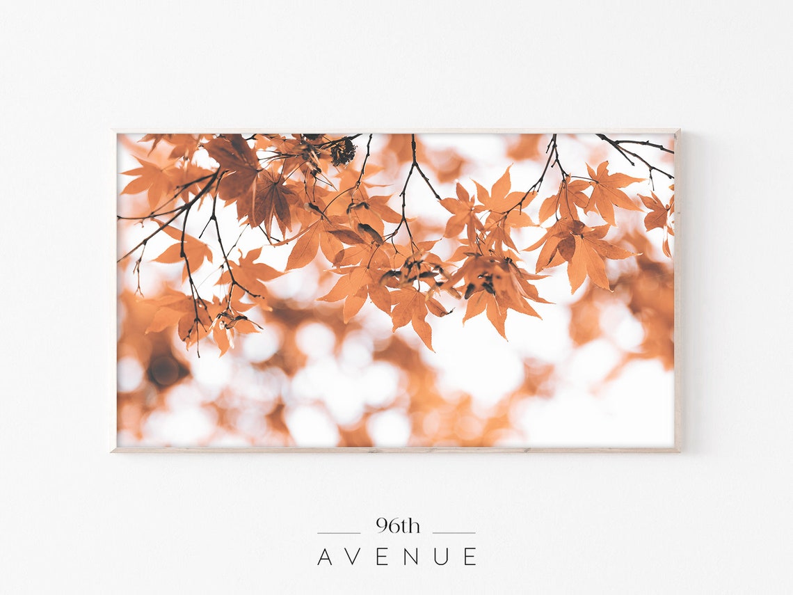 Orange Maple Leaves on Branches Autumn Bokeh Photo Art Poster