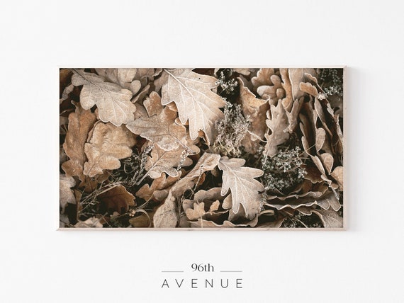 Autumn Leaves Poster Print