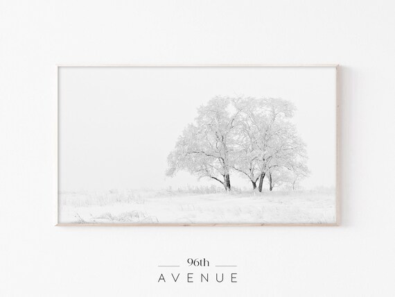 Frosty Winter Trees in White Snow Minimalist Photography Poster