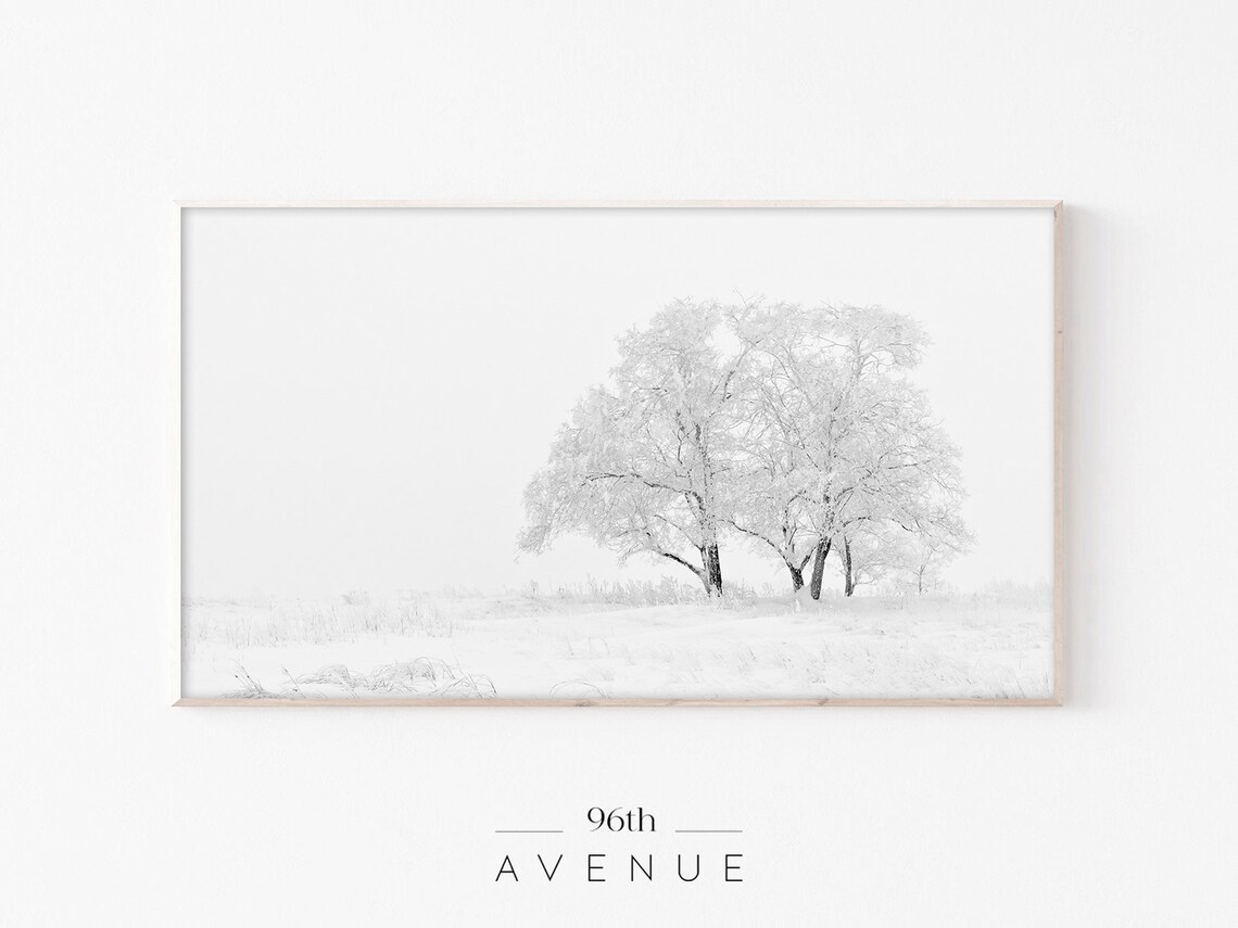 Frosty Winter Trees in White Snow Minimalist Photography Poster