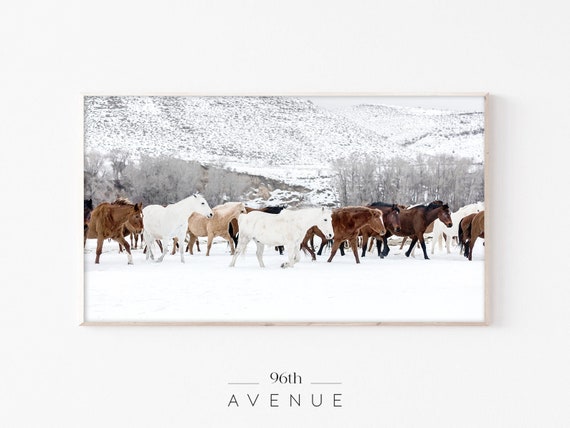 Winter Horses Modern Farmhouse Christmas Art Print