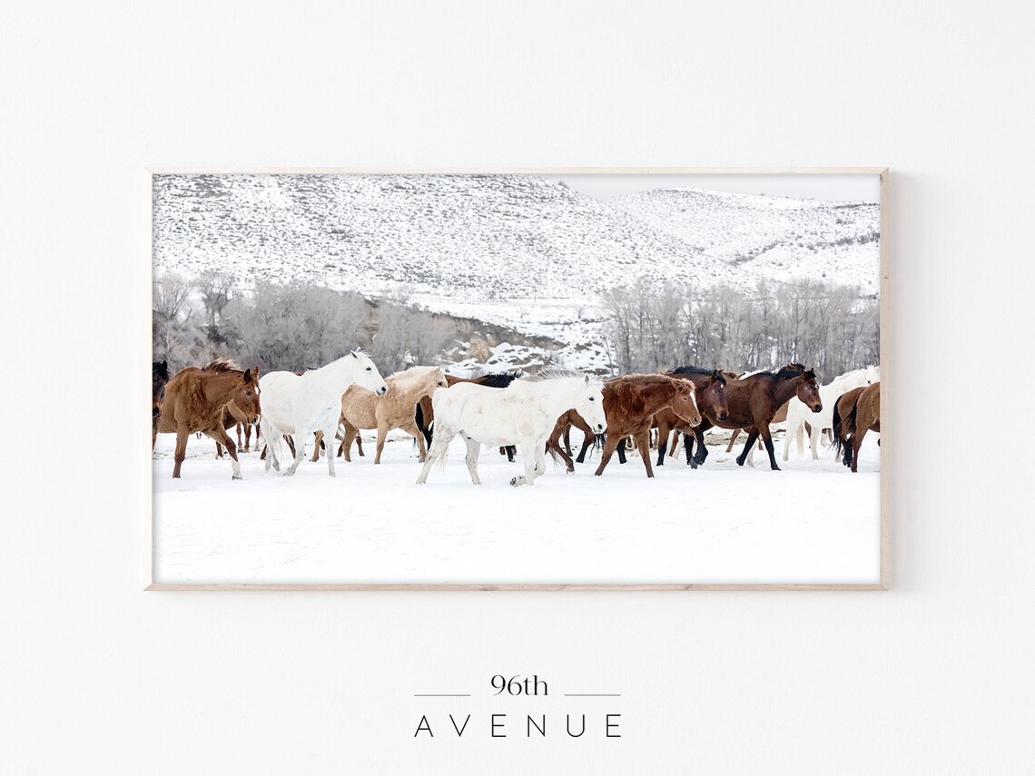 Winter Horses Modern Farmhouse Christmas Art Print