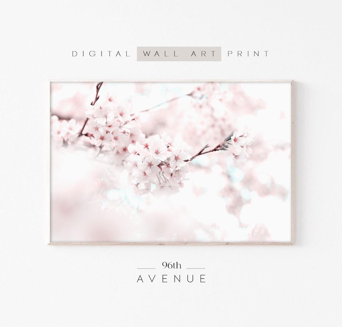 Blush Pink Cherry Blossom Branch Close Up Spring Photo Wall Decor Poster