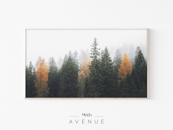 Foggy Forest Evergreen Trees Landscape Art Print