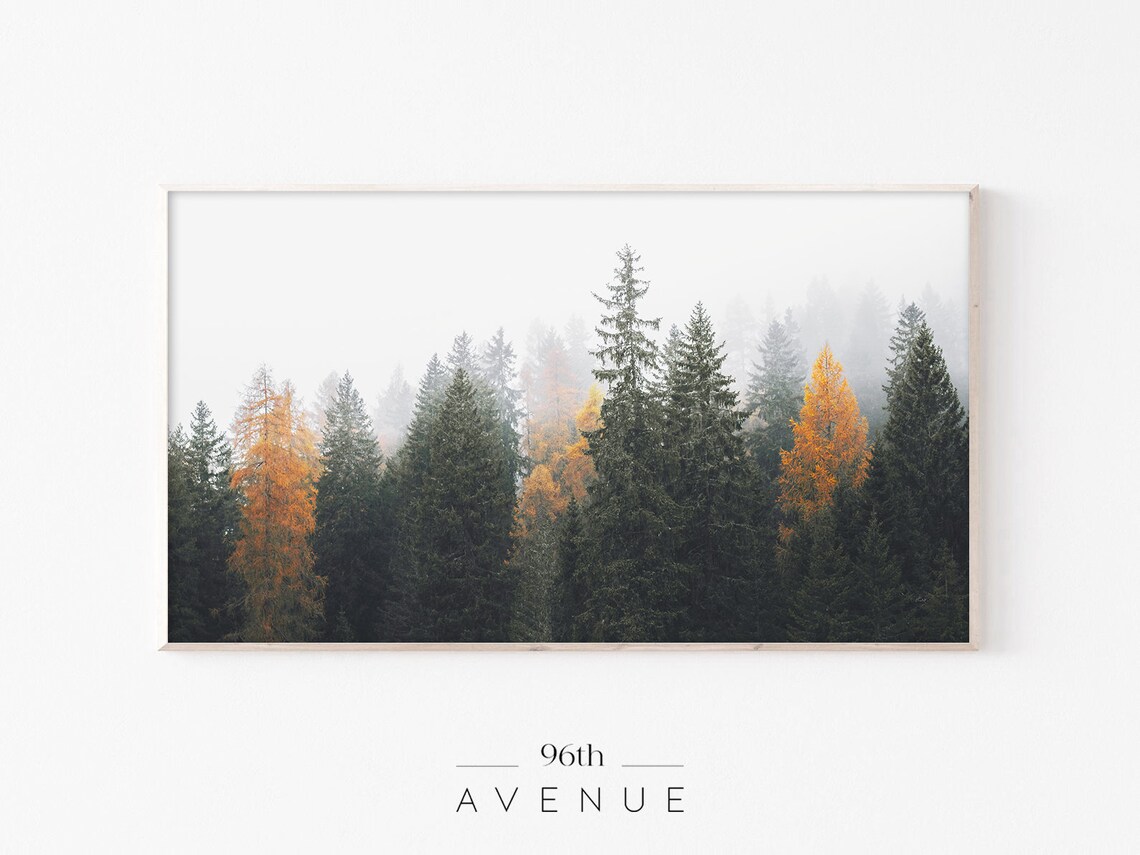 Foggy Forest Evergreen Trees Landscape Art Print