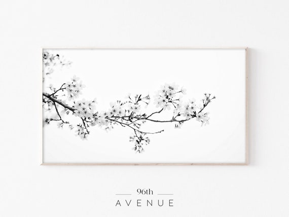 Cherry Blossom Spring Flower Art Print for TV