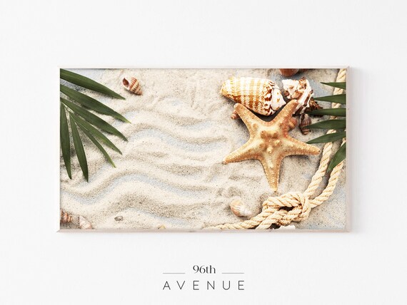 Beach Flat Lay Sand Starfish Shells Rope Coastal Summer Poster