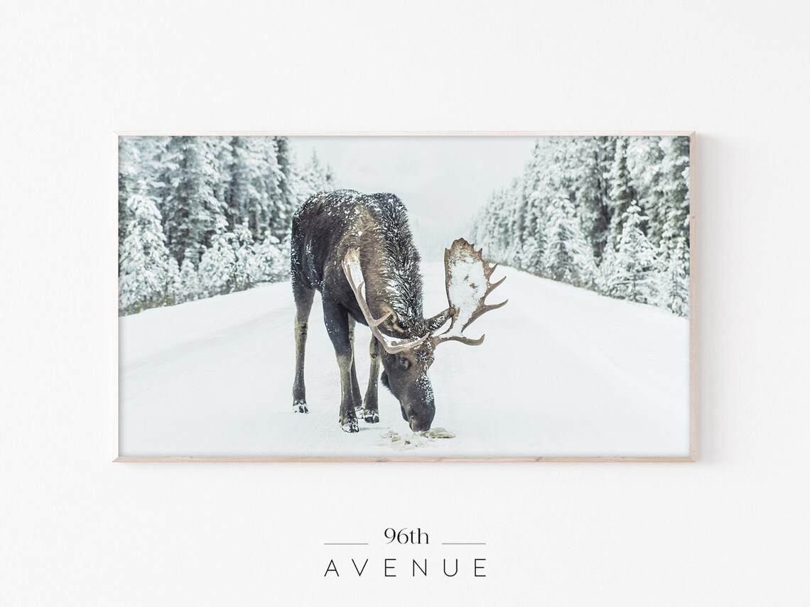 Moose In Snow, Scandi Winter Wildlife Art Print