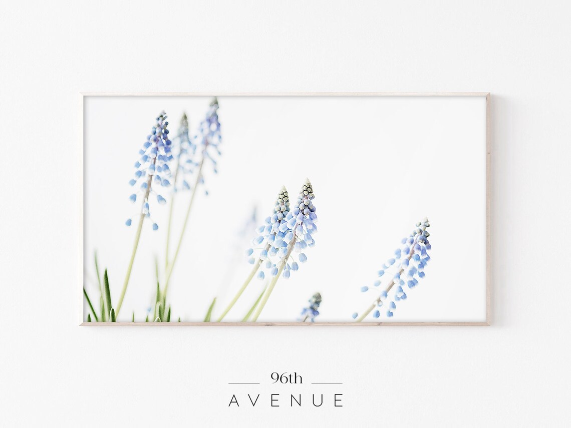 Spring Flowers Art Print