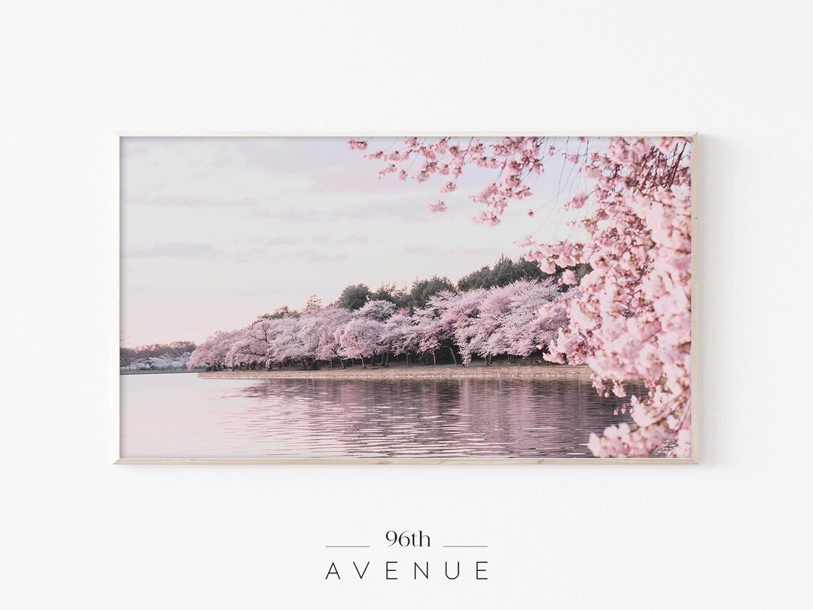 Spring Cherry Blossom Art Print, Seasonal Decor