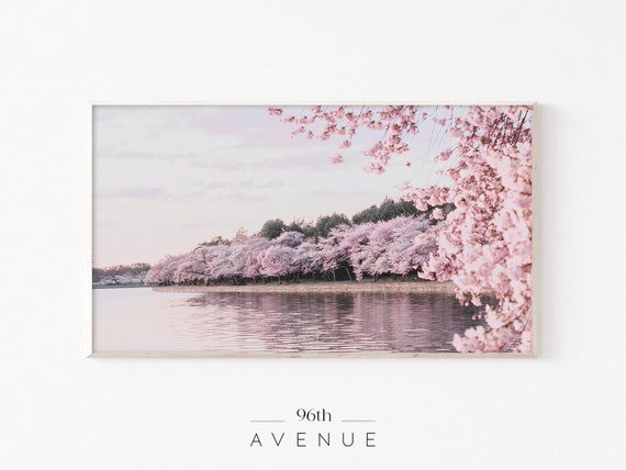 Spring Cherry Blossom Art Print, Seasonal Decor