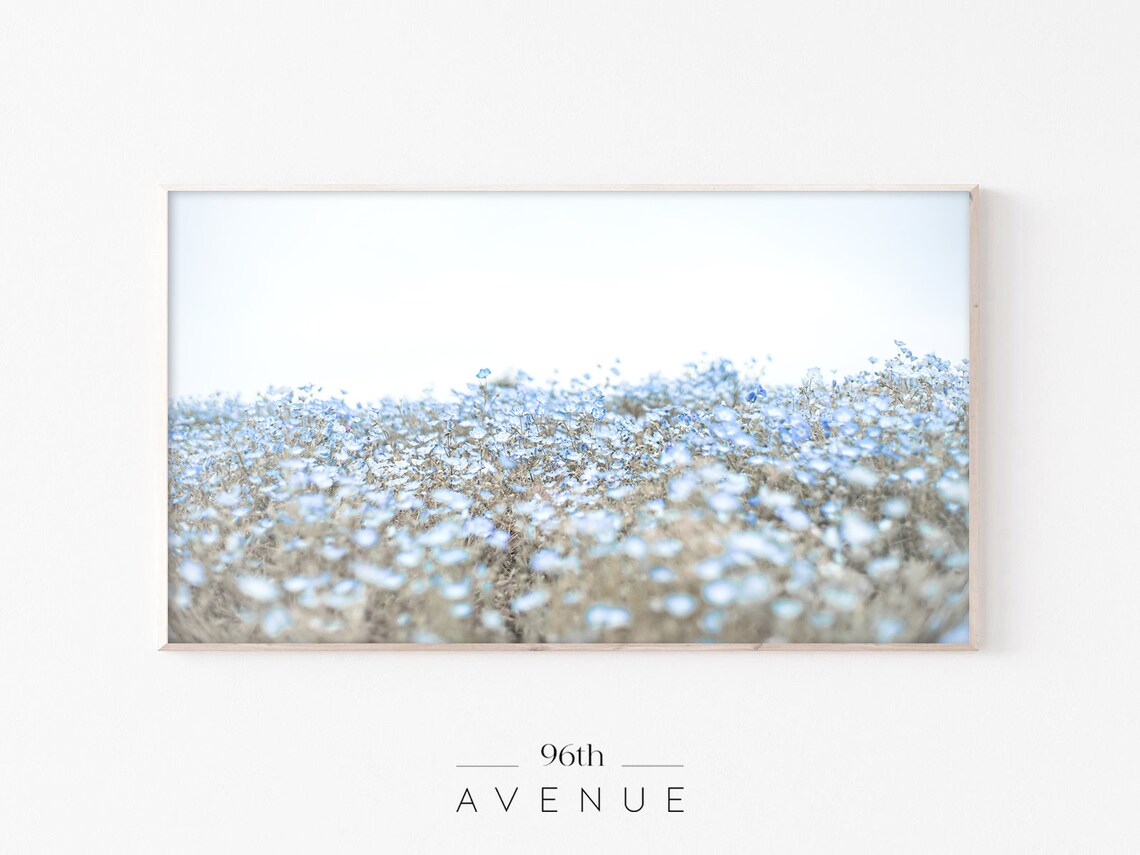 Spring Meadow Flower Field Botanical Art Print
