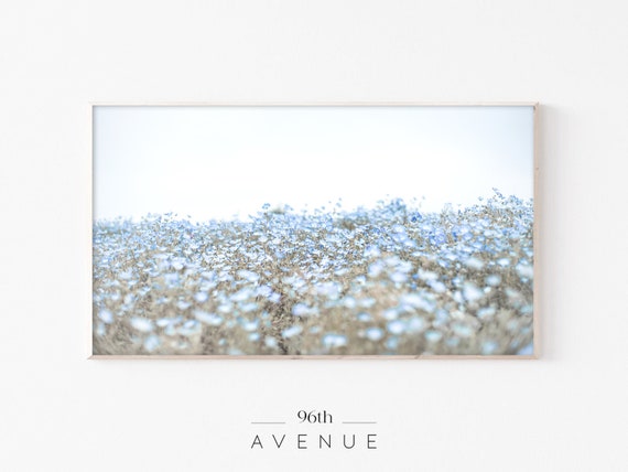 Spring Meadow Flower Field Botanical Art Print
