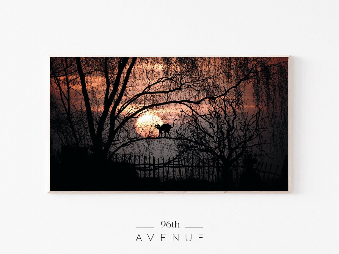 Halloween Spooky Black Cat TV Art
