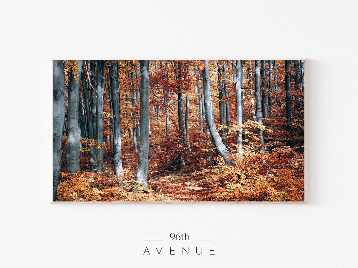Frame Tv Art Fall Forest
