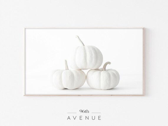 Three White Pumpkins Minimalist Fall Still Life Photography Wall Art