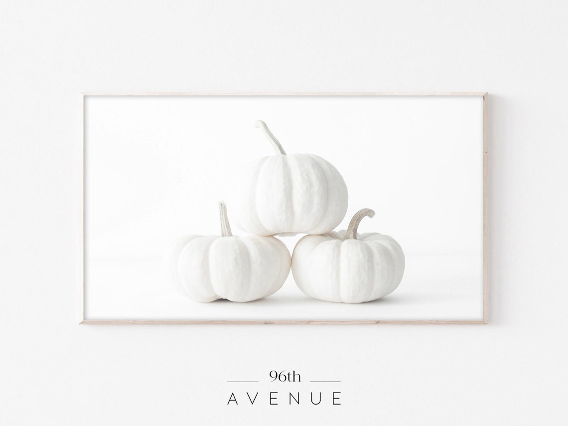 Three White Pumpkins Minimalist Fall Still Life Photography Wall Art