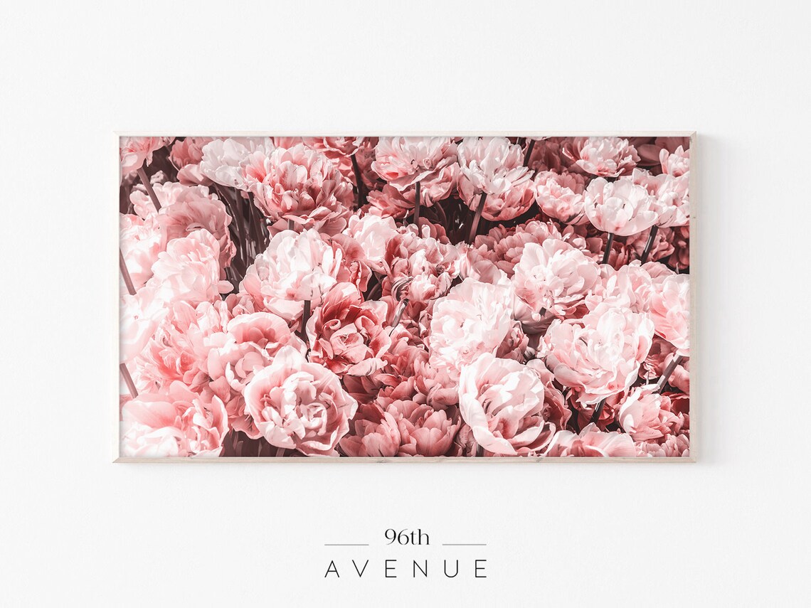 Blush Pink Peonies Flower Photography Feminine Floral Poster