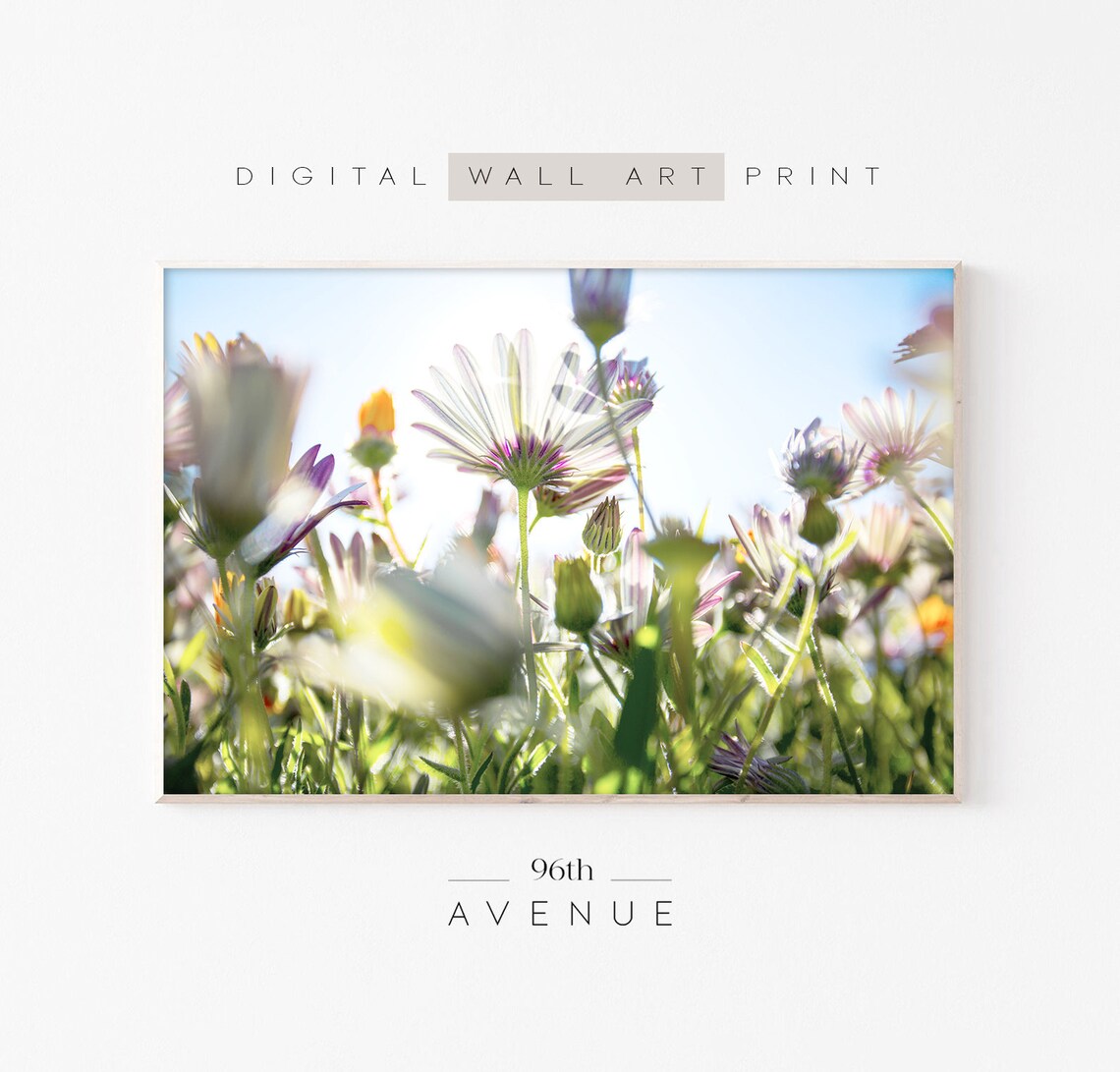 Flower Field Photography, Floral Landscape Print