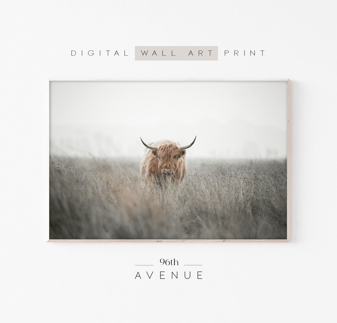 Highland Cow Print, Farmhouse Wall Art