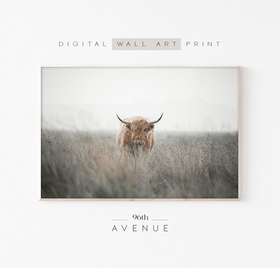 Highland Cow Print, Farmhouse Wall Art