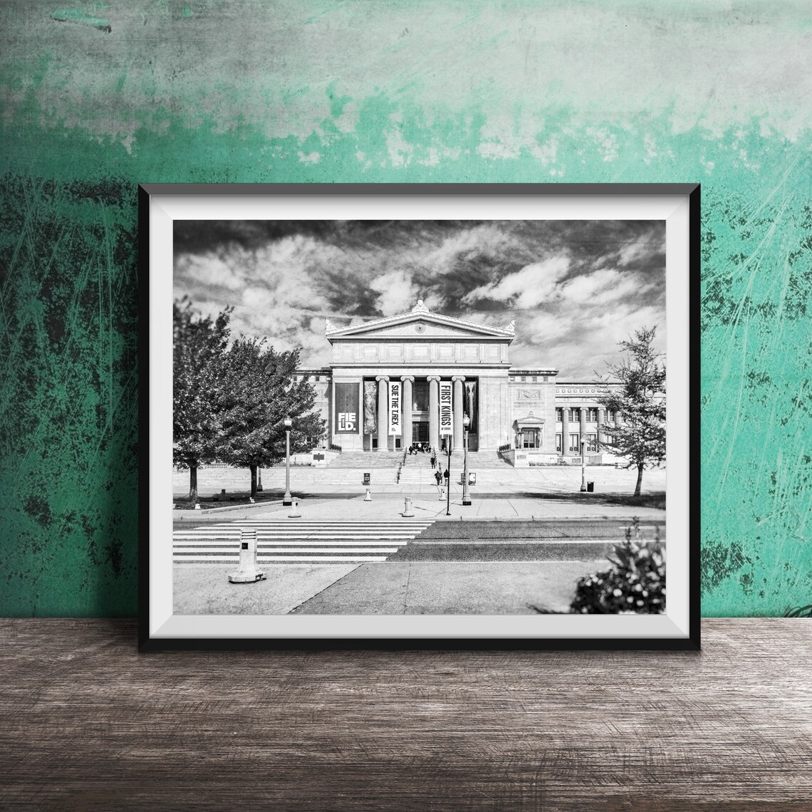 Field Museum Chicago Neoclassical Building Museum Campus Poster - Image 2
