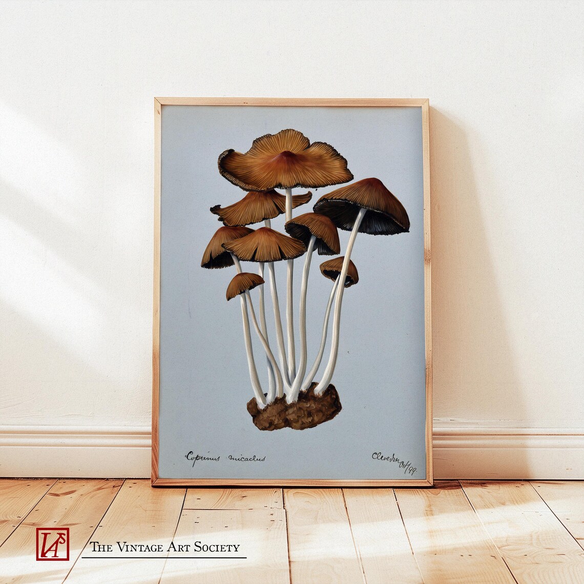 Retro Mushroom Poster, Vintage Nature Decor