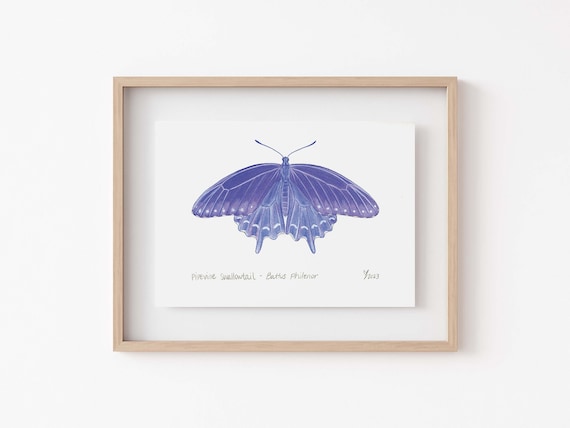 Purple Swallowtail Butterfly Art Print, Garden Decor