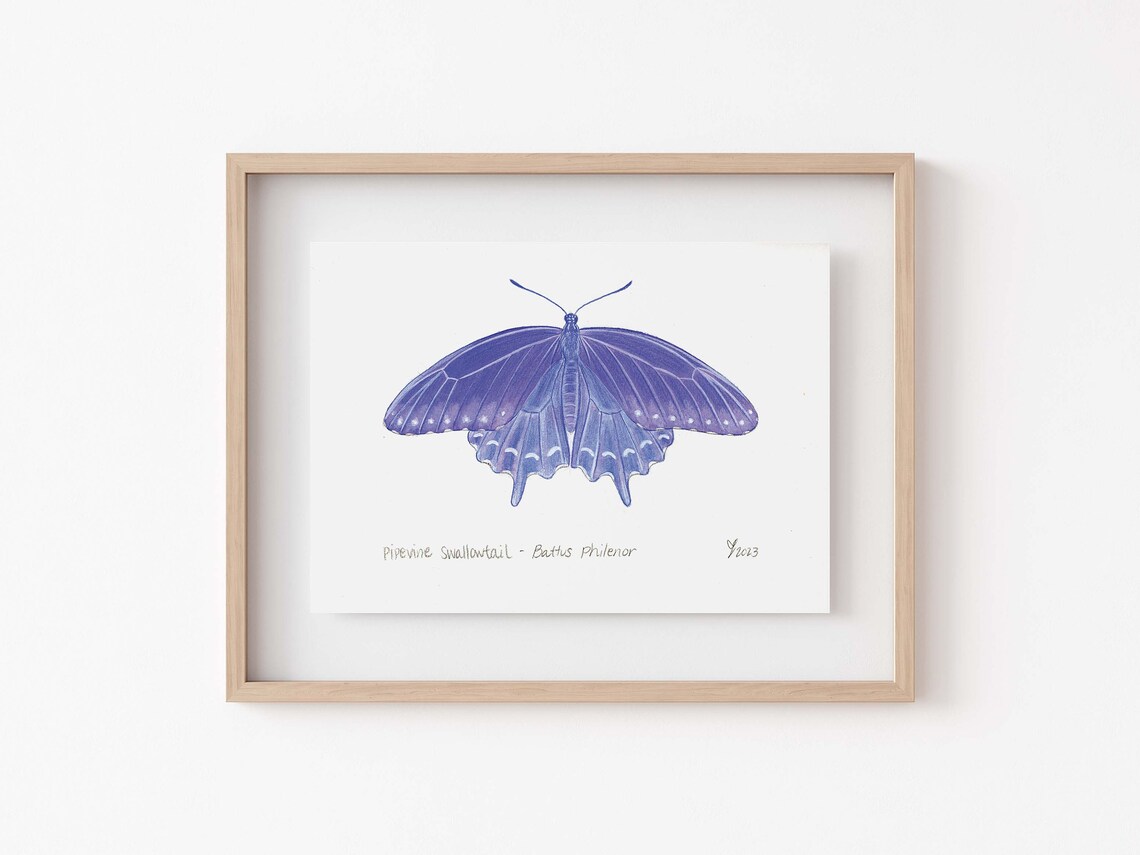 Purple Swallowtail Butterfly Art Print, Garden Decor