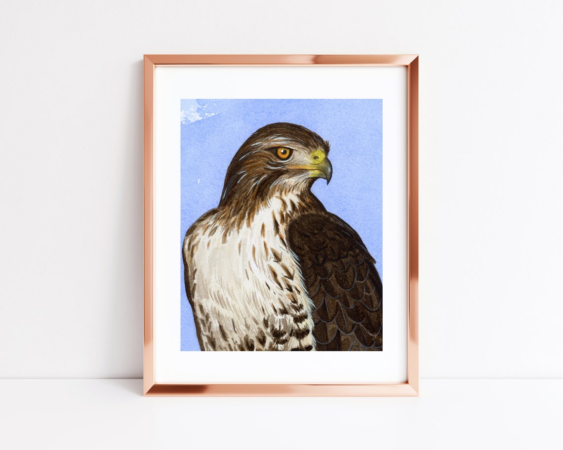 Red-Tailed Hawk Portrait Watercolor Majestic Raptor Art Poster