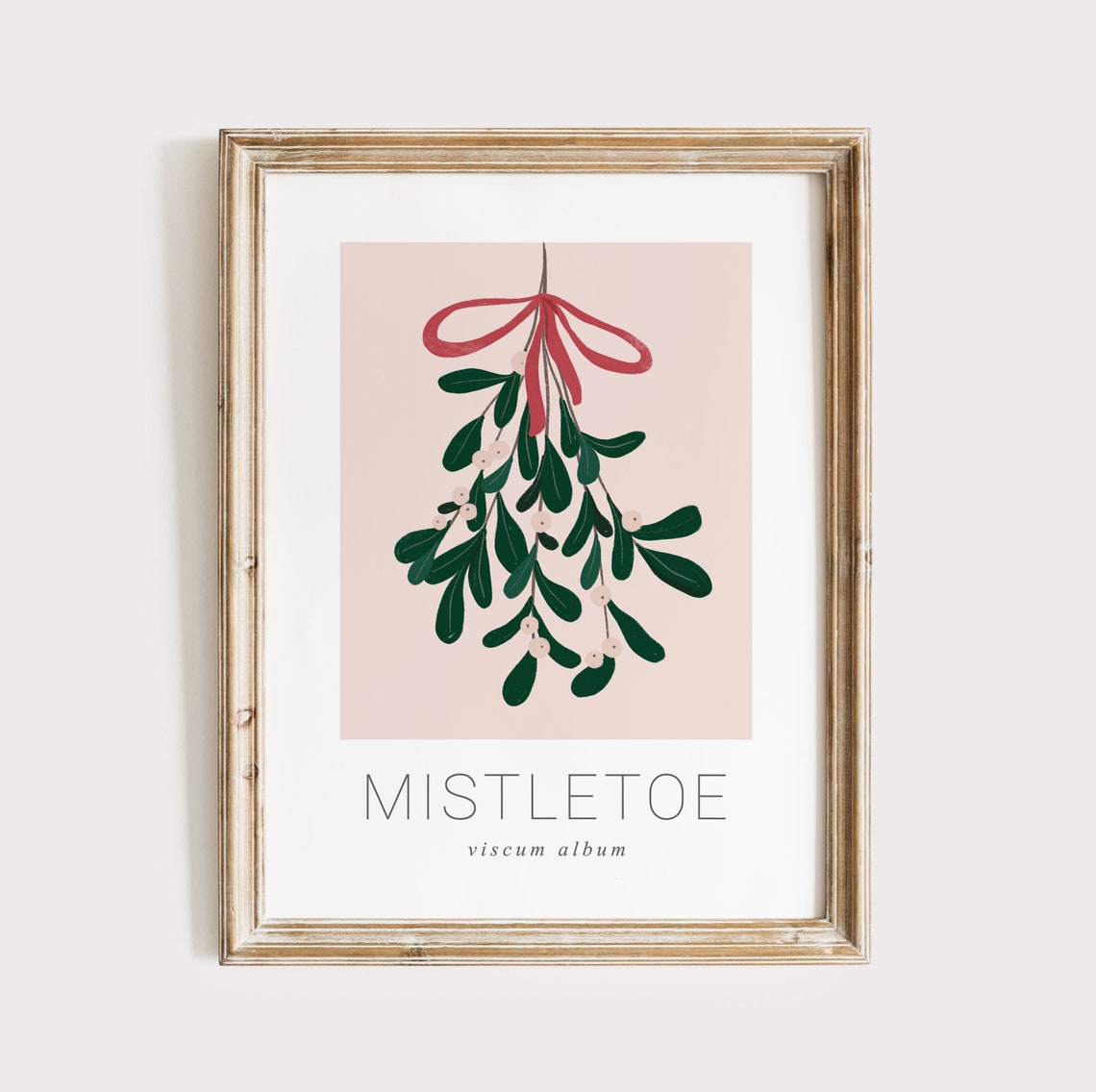 Pink Mistletoe Viscum Album Botanical Christmas Holiday Poster
