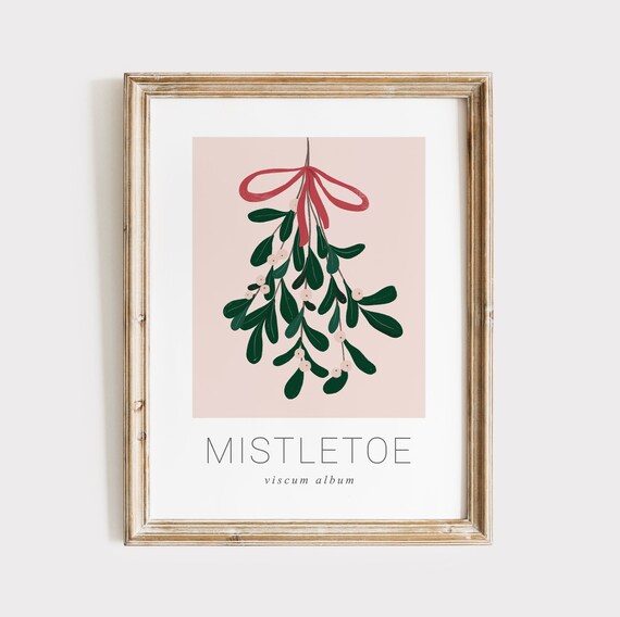 Pink Mistletoe Viscum Album Botanical Christmas Holiday Poster
