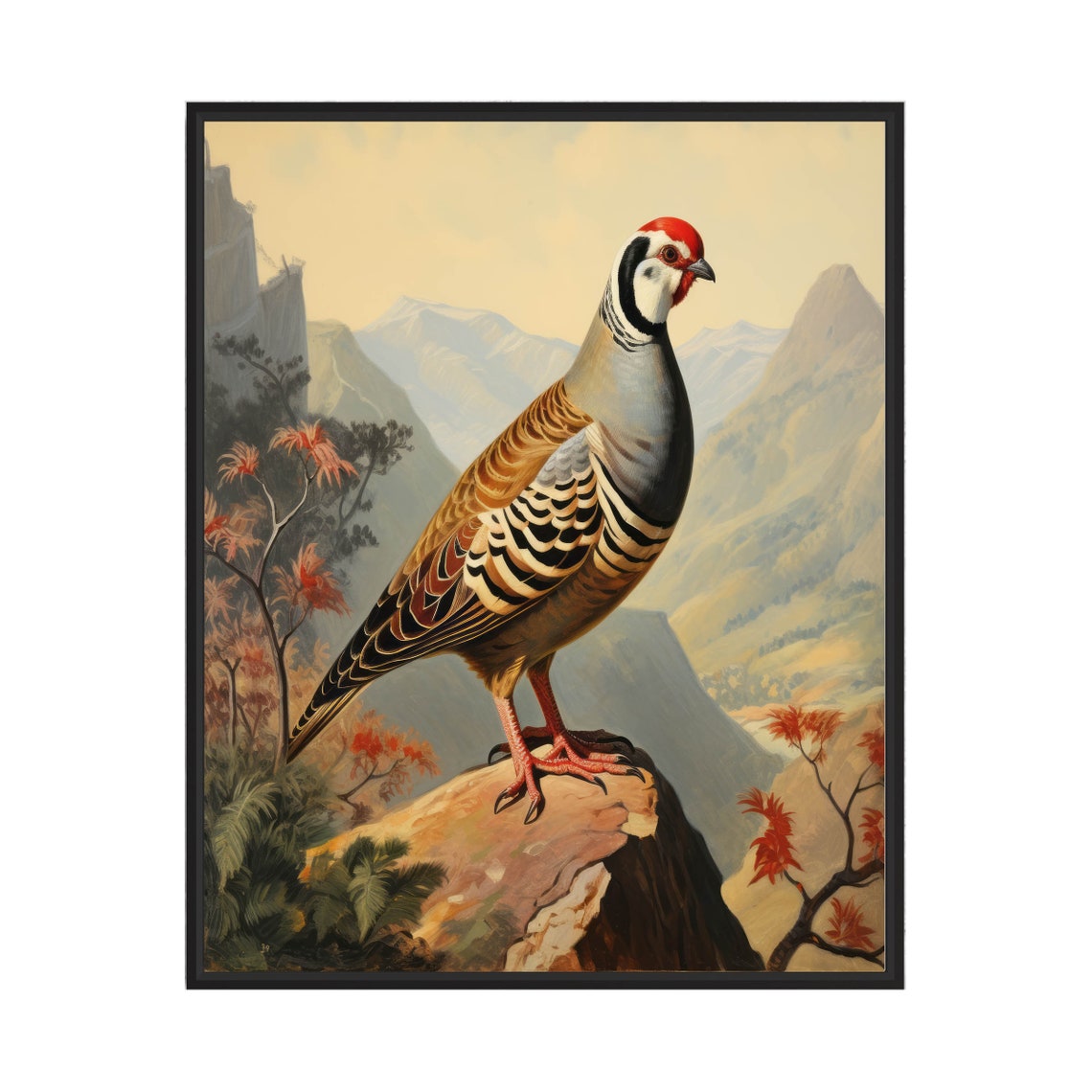 Chukar Partridge Standing on a Rock Mountain Bird Art Poster