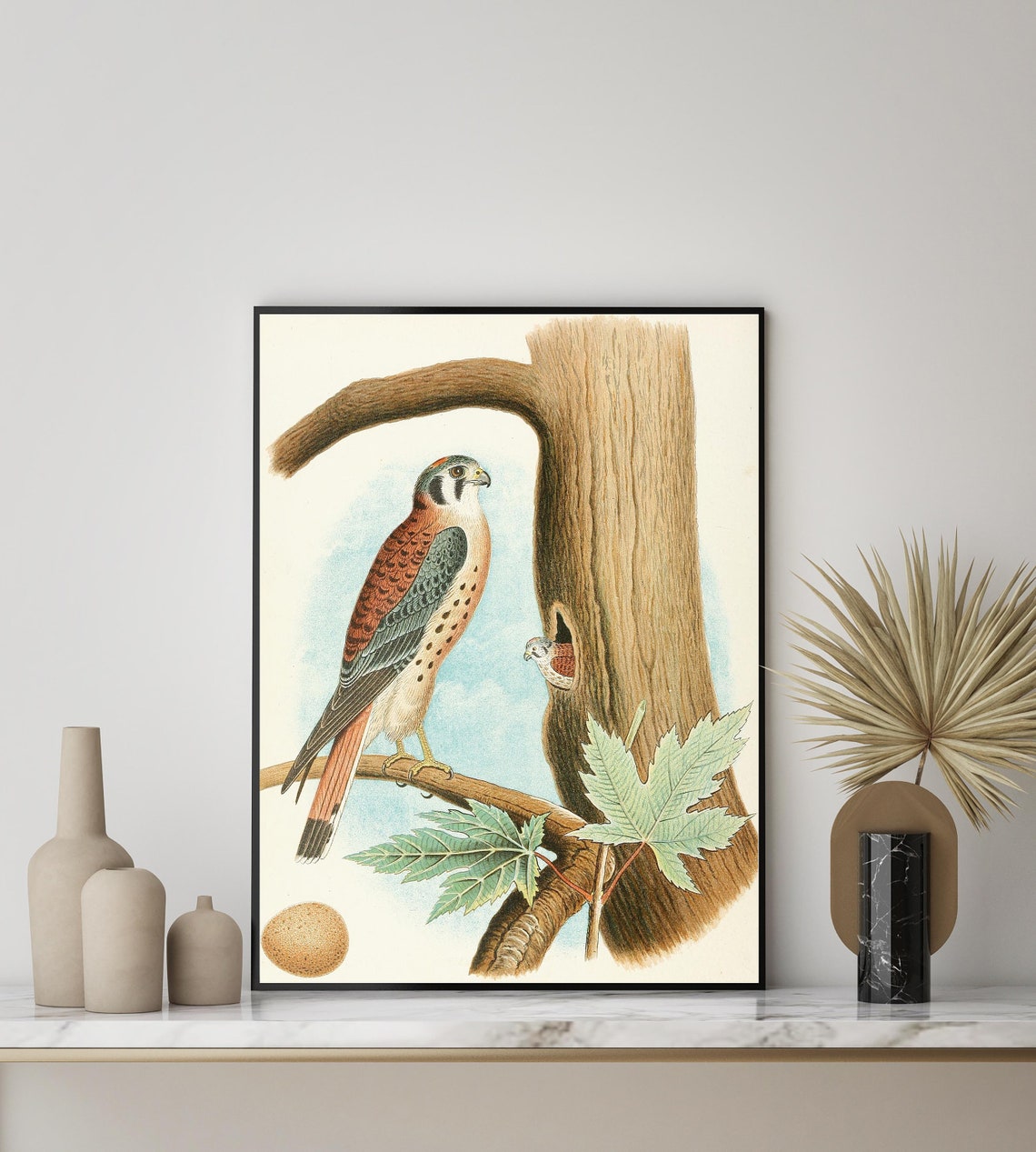 1882 Sparrow Hawk by the Nest Hollow with Egg Vintage Bird Poster - Image 3