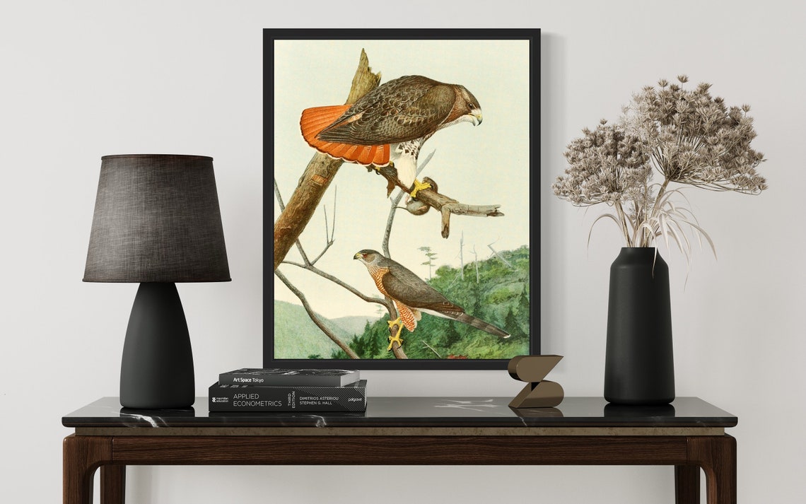 Red Tailed Hawk and Coopers Hawk Perched on Branch Vintage Bird Poster - Image 3