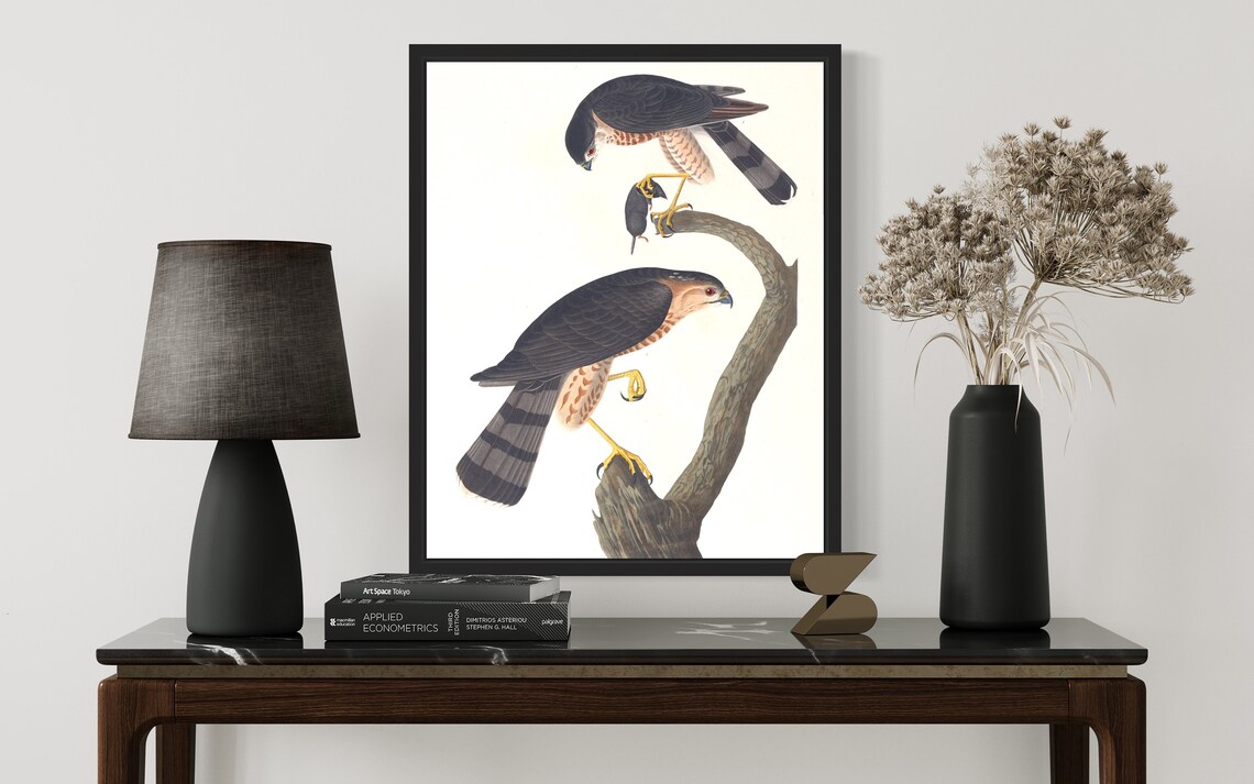 Pair of Sharp Shinned Hawks with Prey Vintage Naturalist Art Print - Image 3