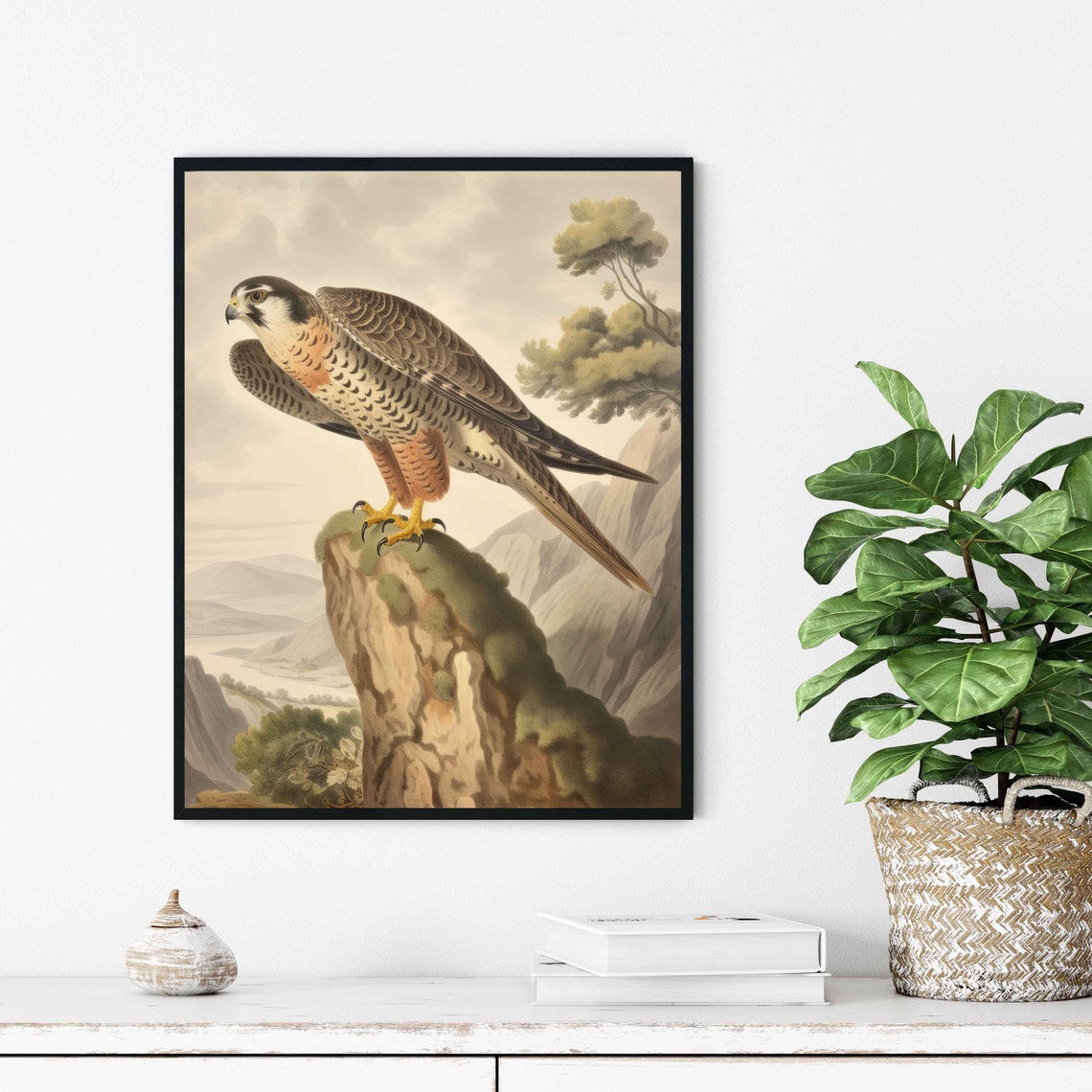 Falcon Perched On A Cliff Vintage Natural History Style Poster - Image 3