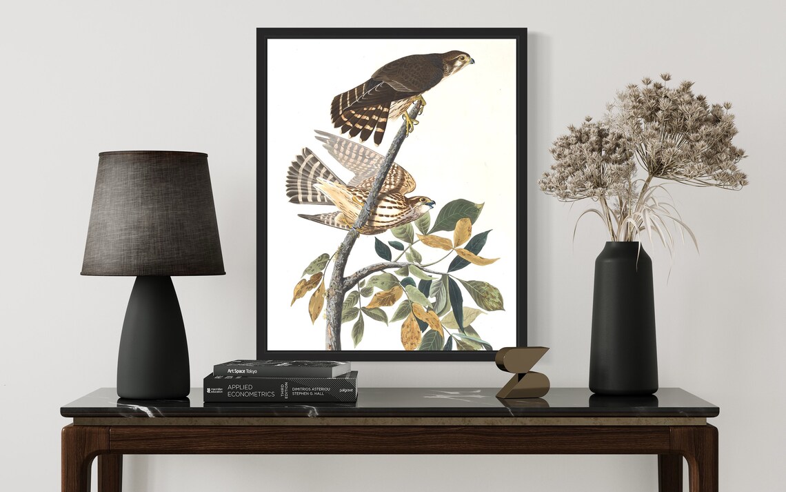 Pair of Merlins Pigeon Hawks on Leafy Branch Vintage Art Print - Image 3