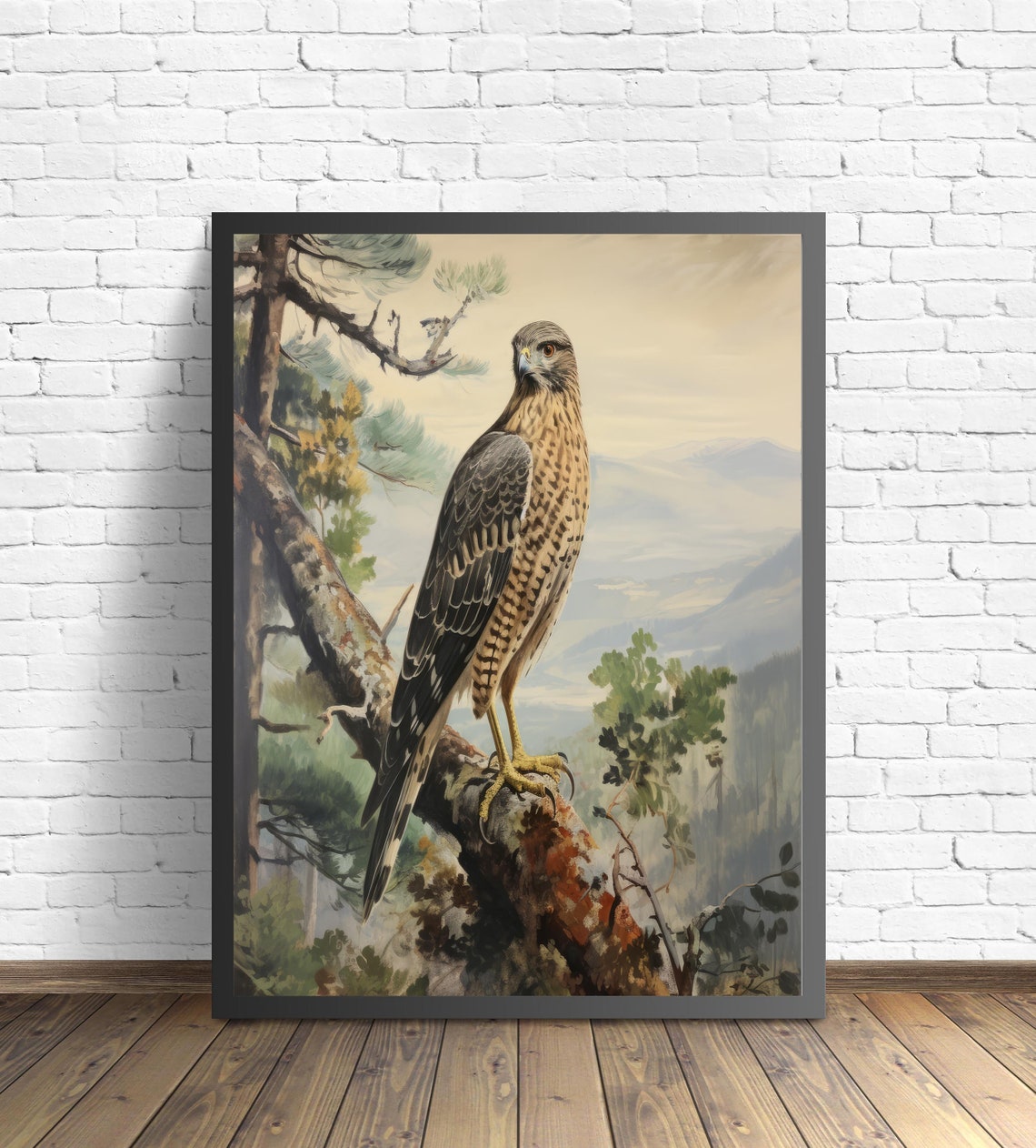 Regal Cooper's Hawk Perched on a Pine Branch in a Vintage Style Poster - Image 2