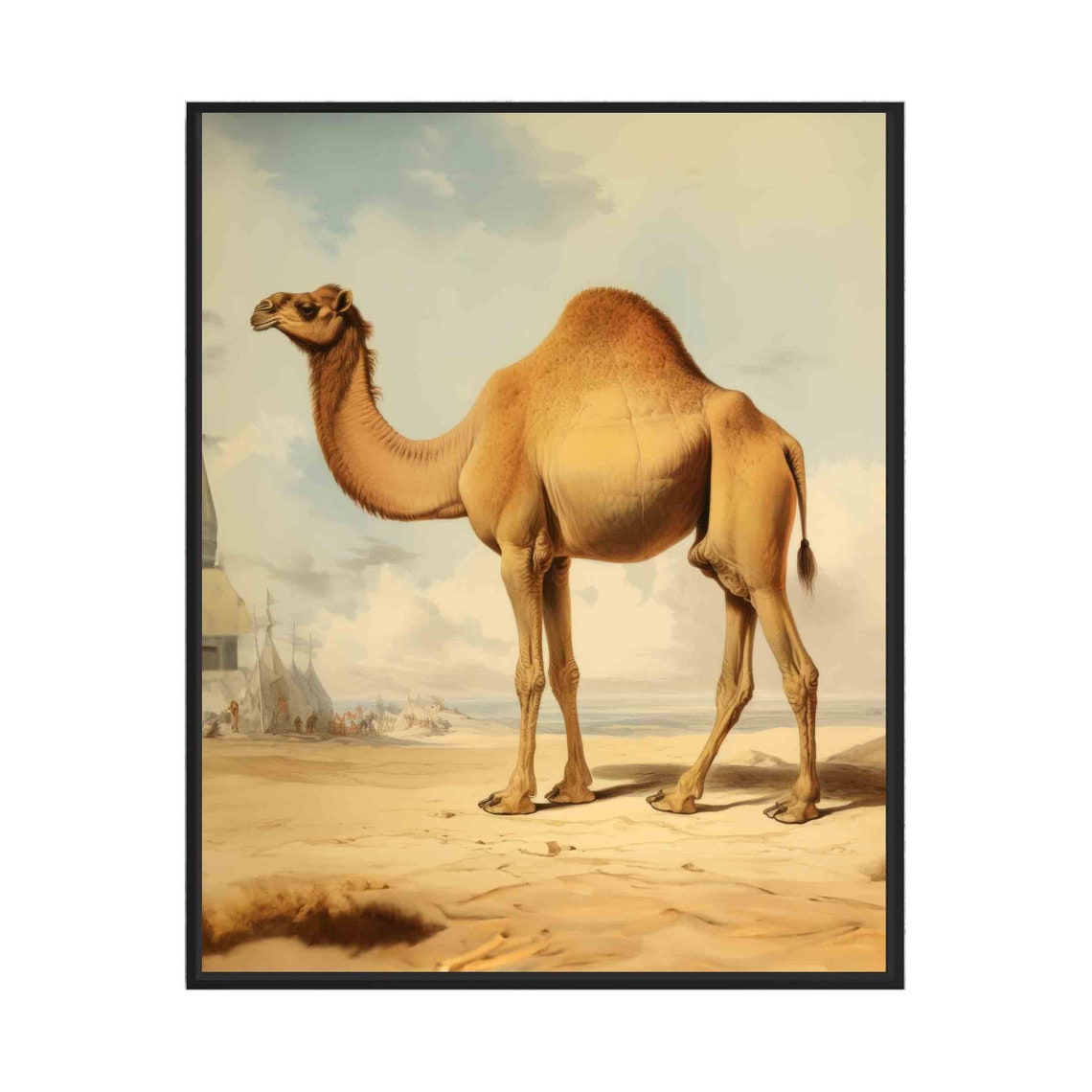 Dromedary Camel in Desert Vintage Natural History Animal Art Poster