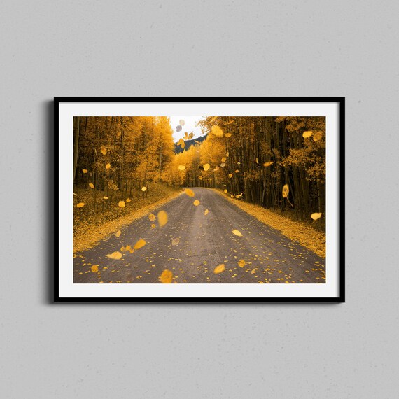 Golden Aspen Road Falling Leaves Autumn Photography Art Poster