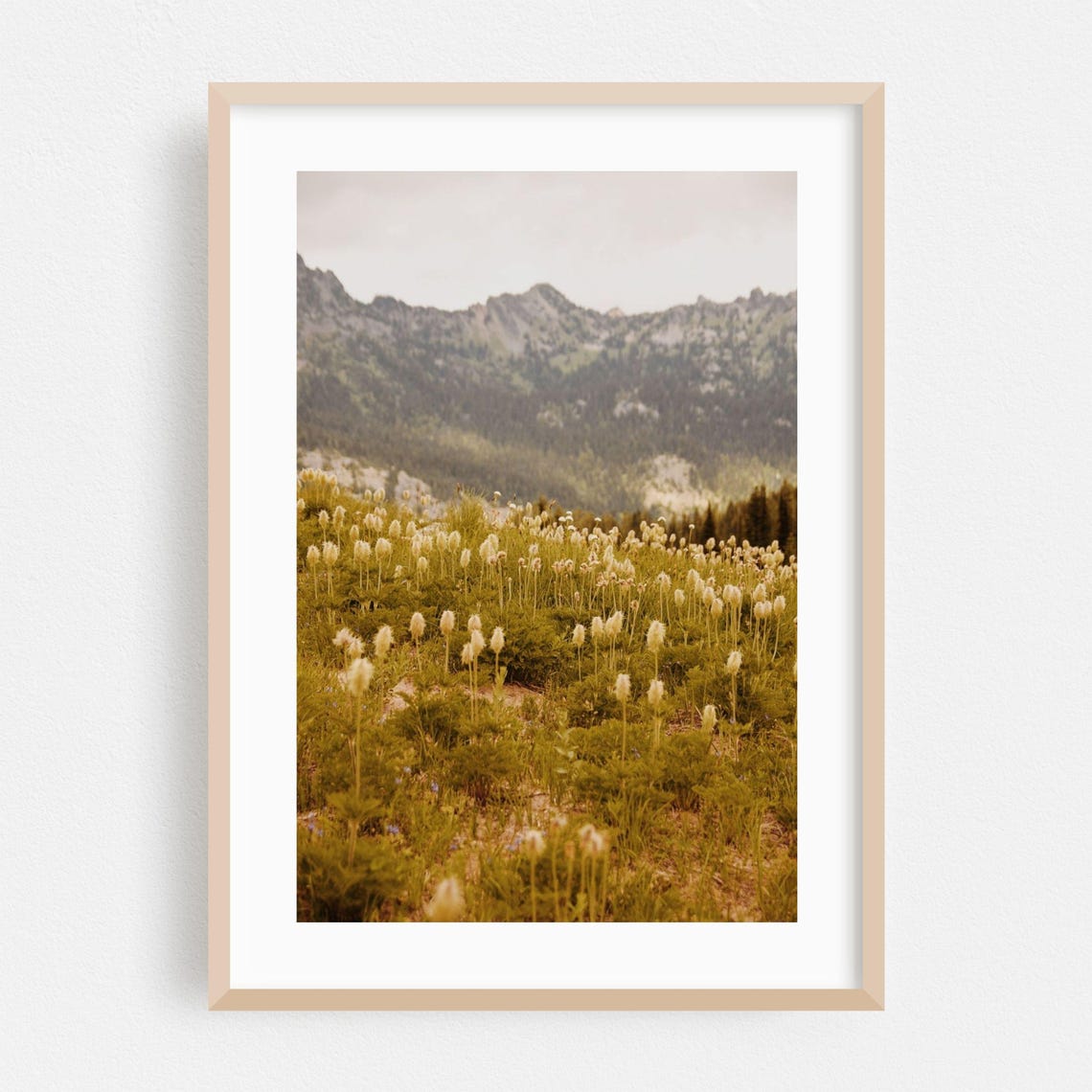 Mountain Meadow Of Bear Grass Beneath Rugged Peaks Photograph Poster