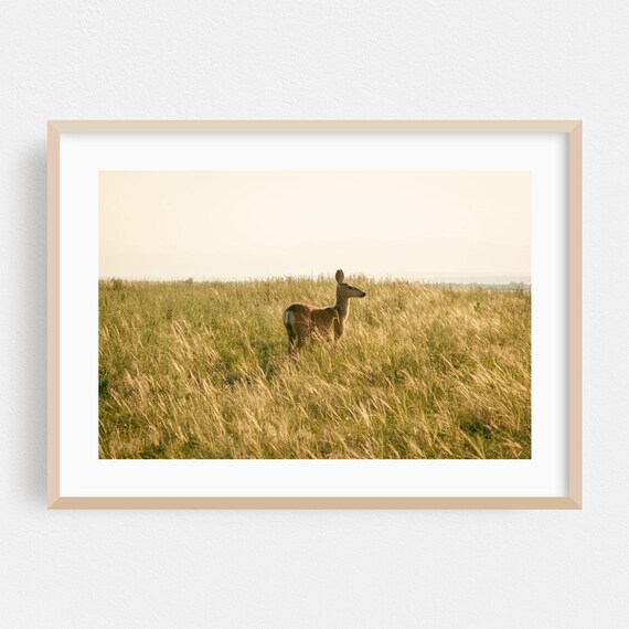 Commerce City Print Colorado Wall Art Deer Framed Wildlife Home Decor Nature Poster Pastoral Fine Wilderness Countryside