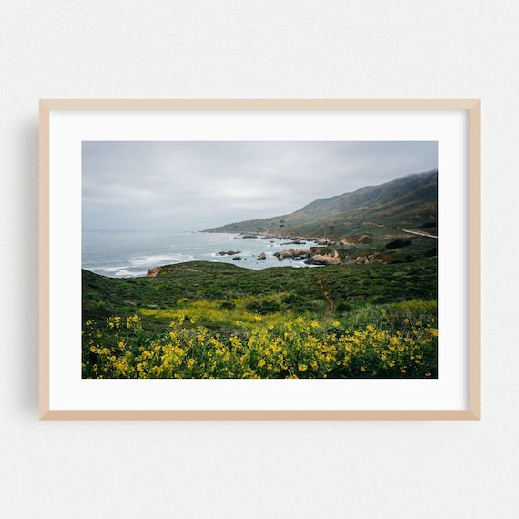 Big Sur California Wildflower Coastline Photo Landscape Print
