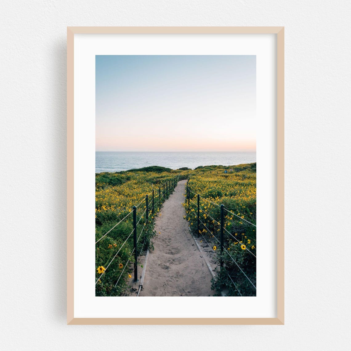 Dana Point Wildflower Beach Path Sunset Coastal Scene Poster