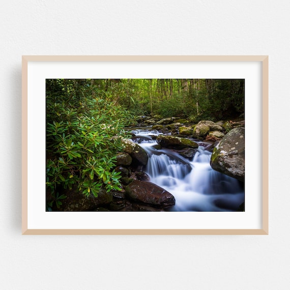 Tennessee Forest Waterfall Long Exposure Lush Green Nature Poster