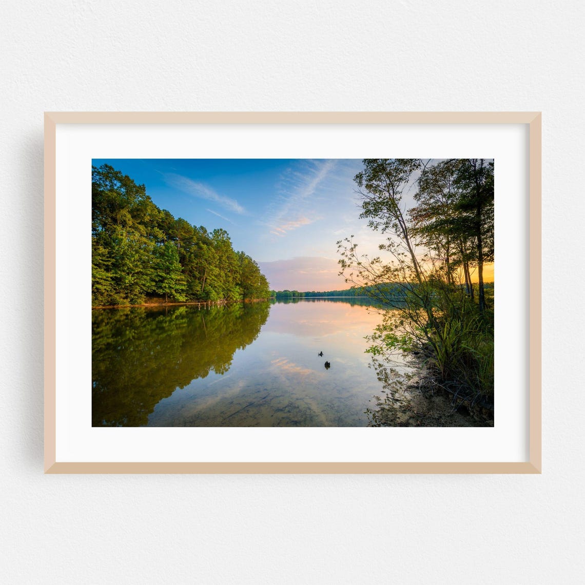 North Carolina Lake Sunset Forest Shore Reflection Photo Poster